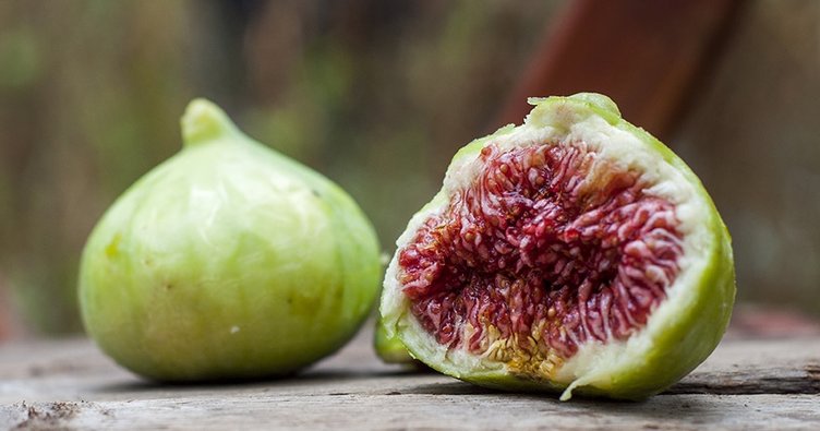 soğuk pres incir çekirdeği yağı